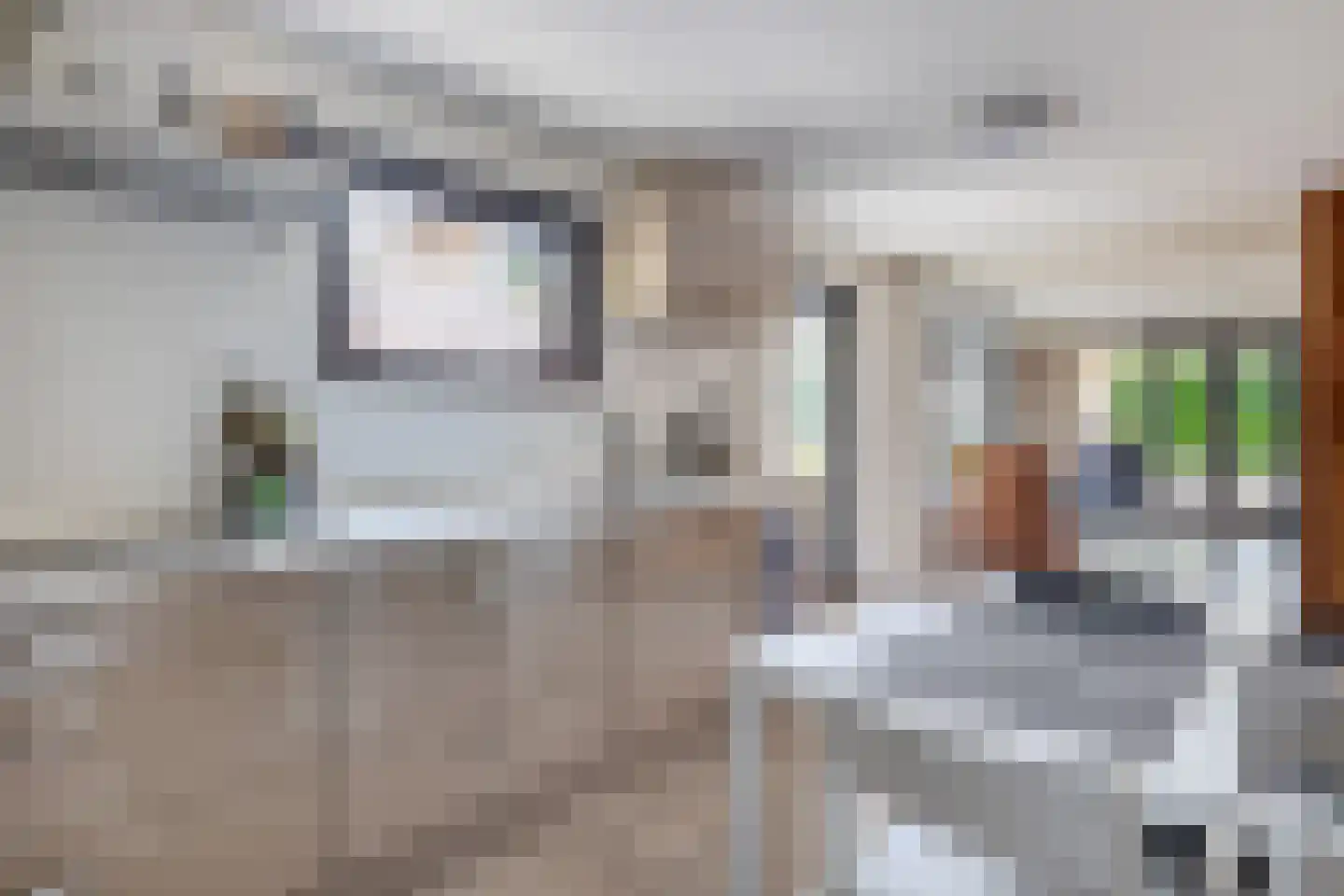 Lijsterbesstraat 10 Veghel thumbnail 12