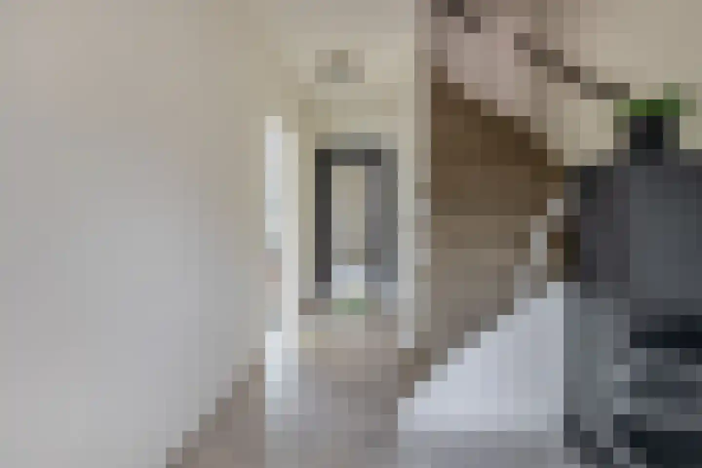 Lijsterbesstraat 10 Veghel thumbnail 13