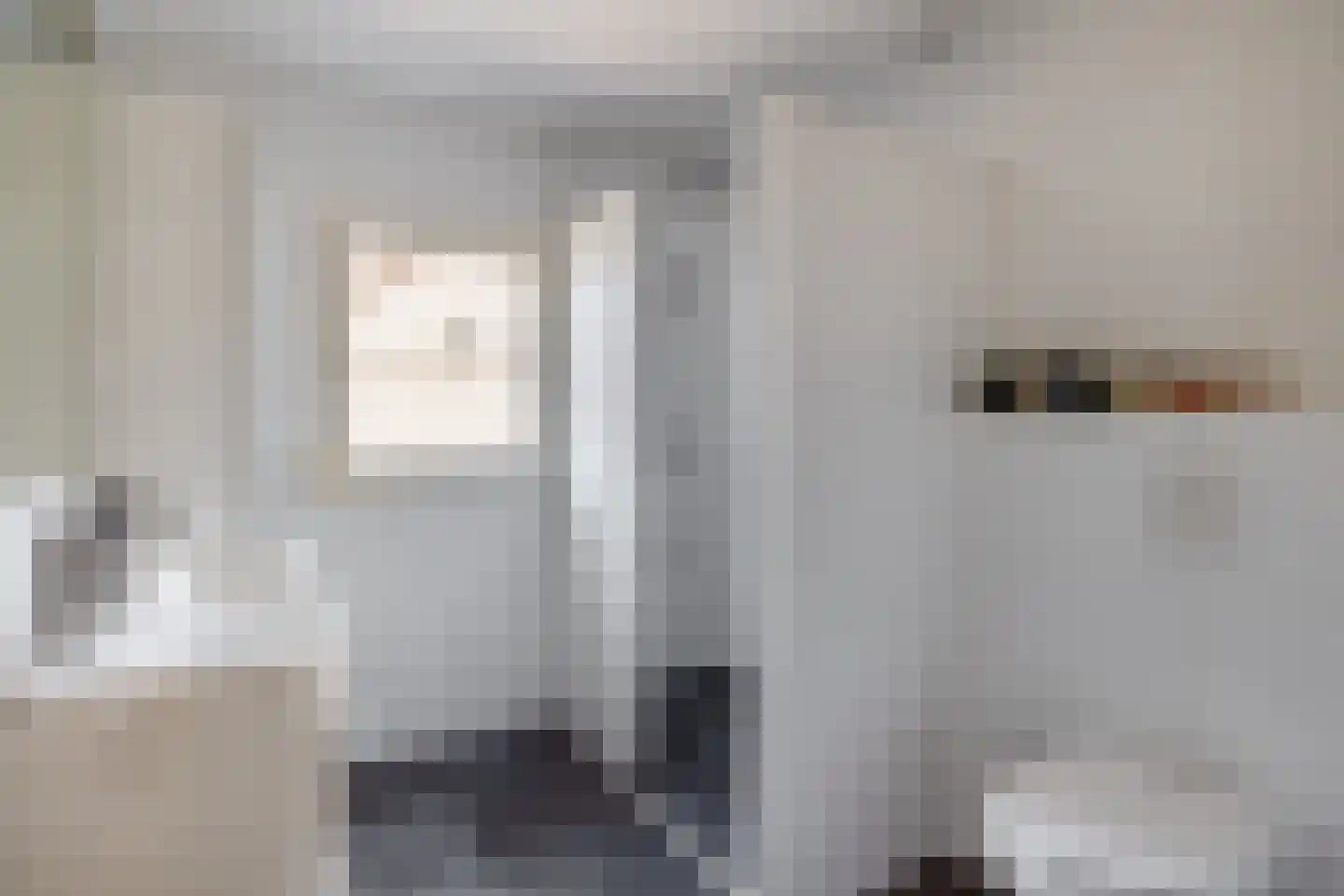 Lijsterbesstraat 10 Veghel thumbnail 18