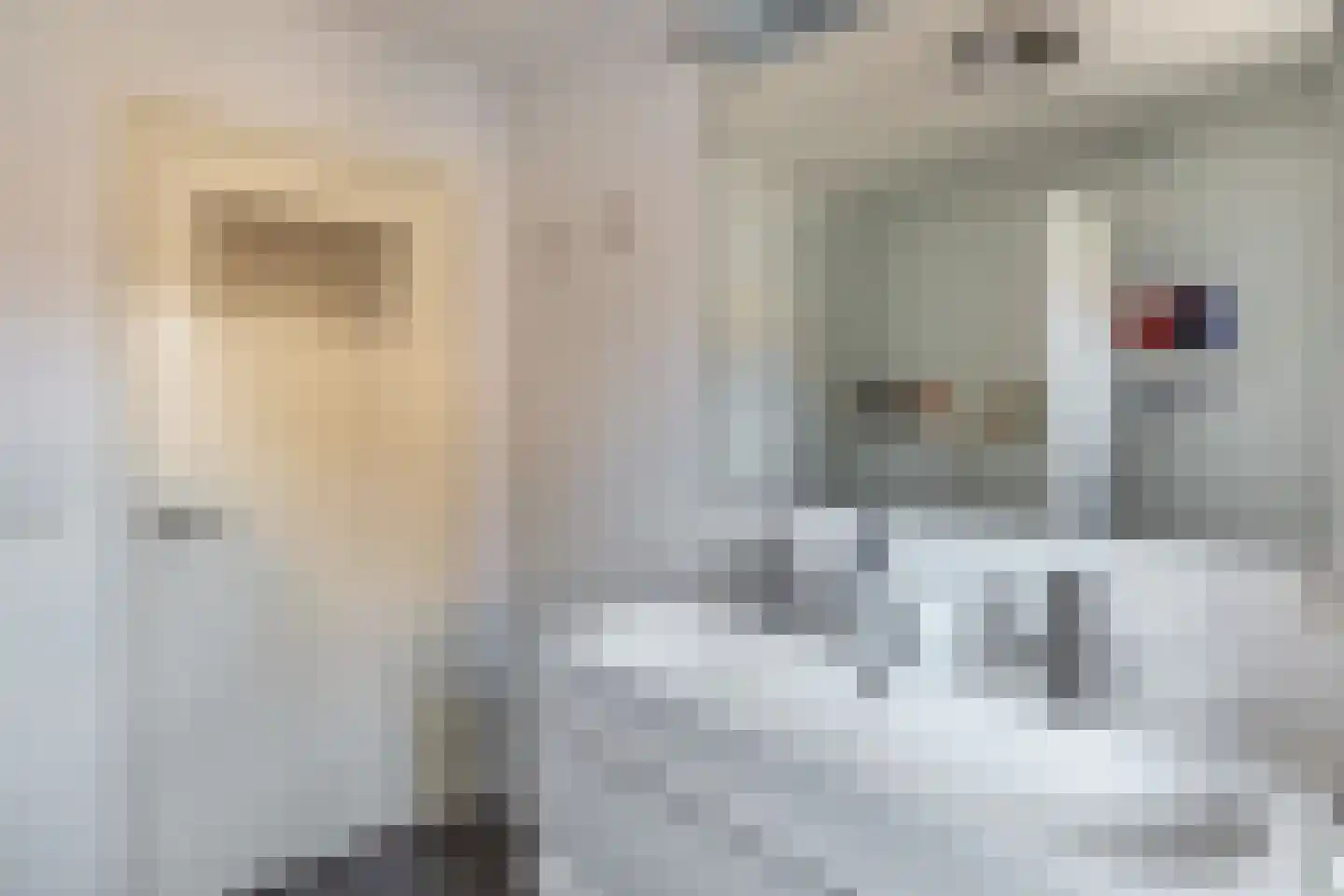Lijsterbesstraat 10 Veghel thumbnail 19
