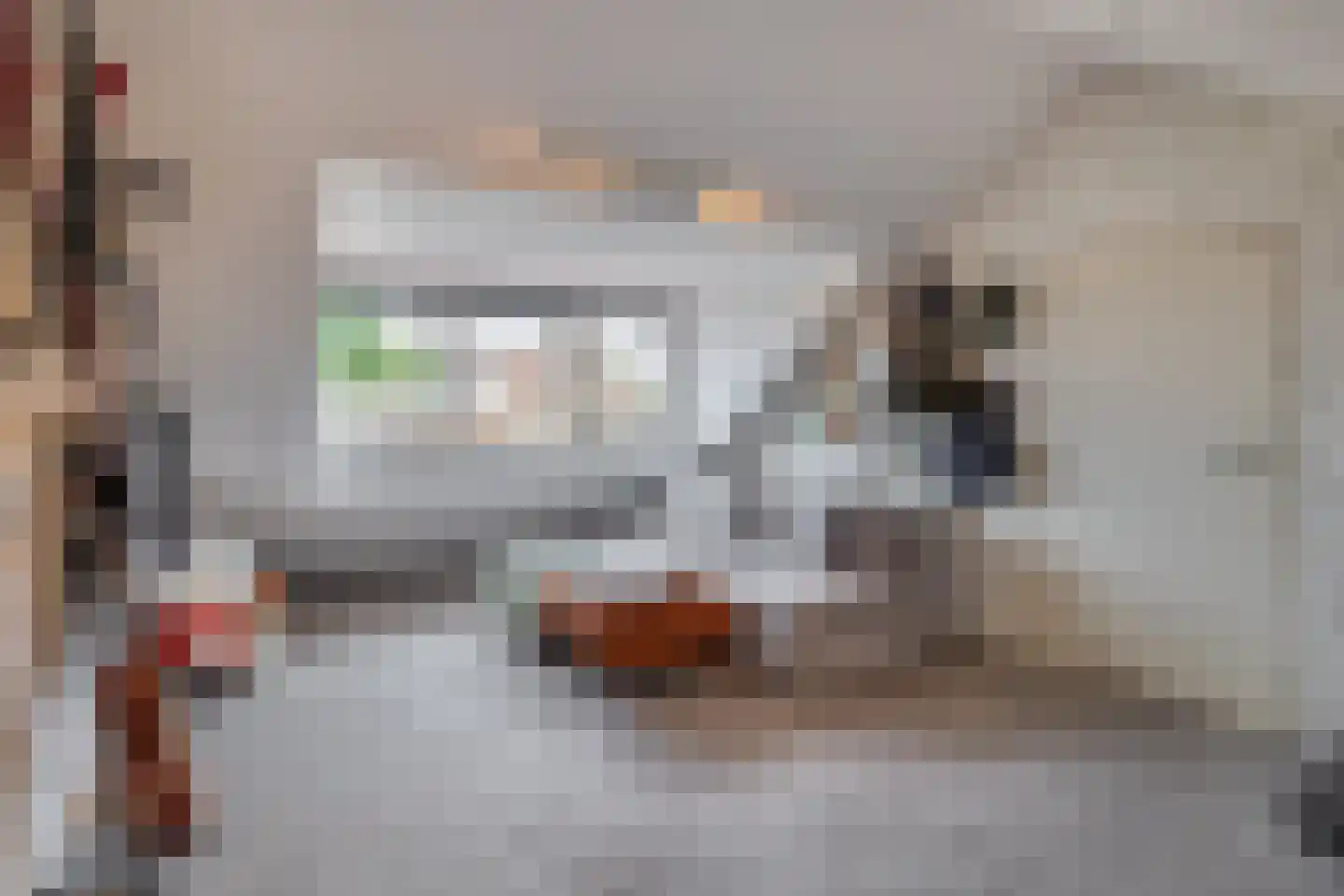 Lijsterbesstraat 10 Veghel thumbnail 23
