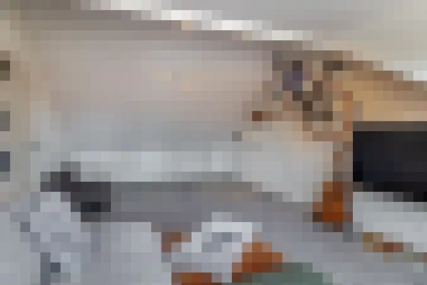 Lijsterbesstraat 10 Veghel thumbnail 24