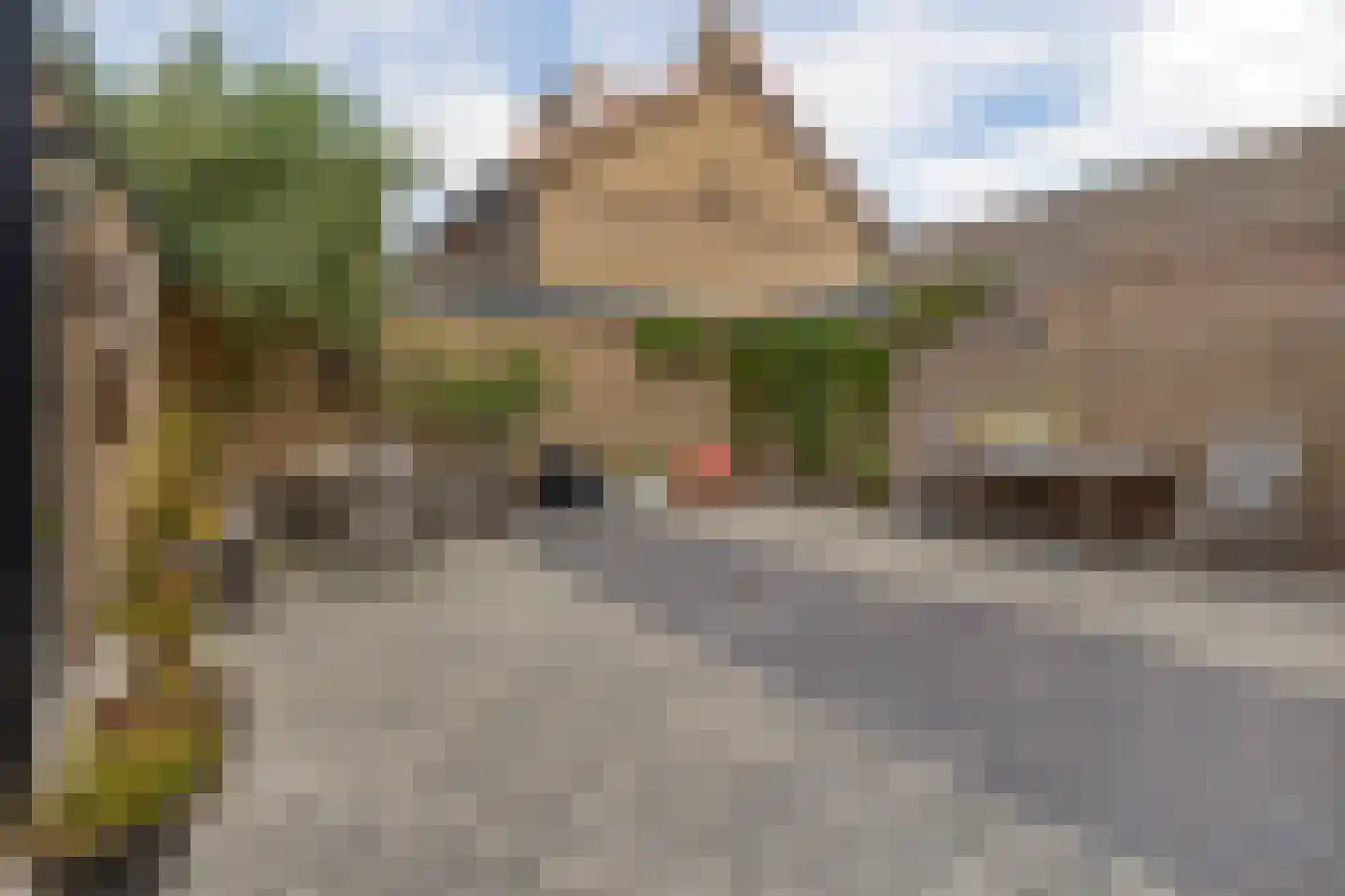 Lijsterbesstraat 10 Veghel thumbnail 25