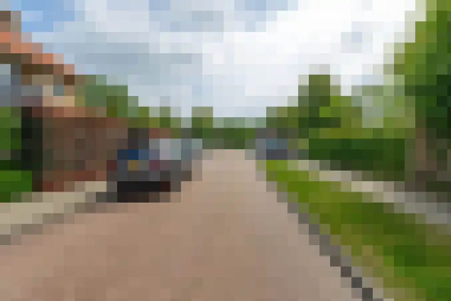 Lijsterbesstraat 10 Veghel thumbnail 31