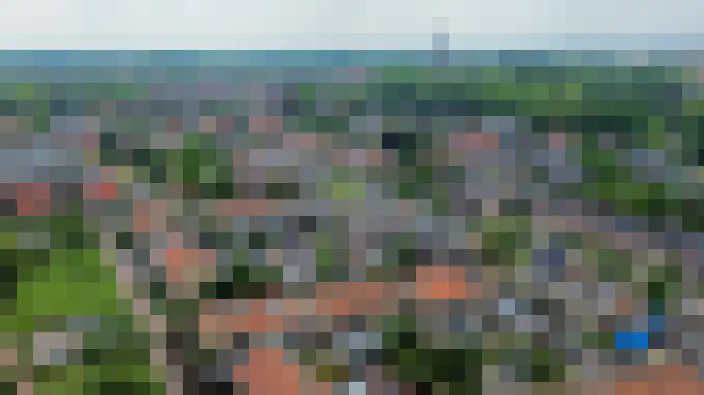 Lijsterbesstraat 10 Veghel thumbnail 34