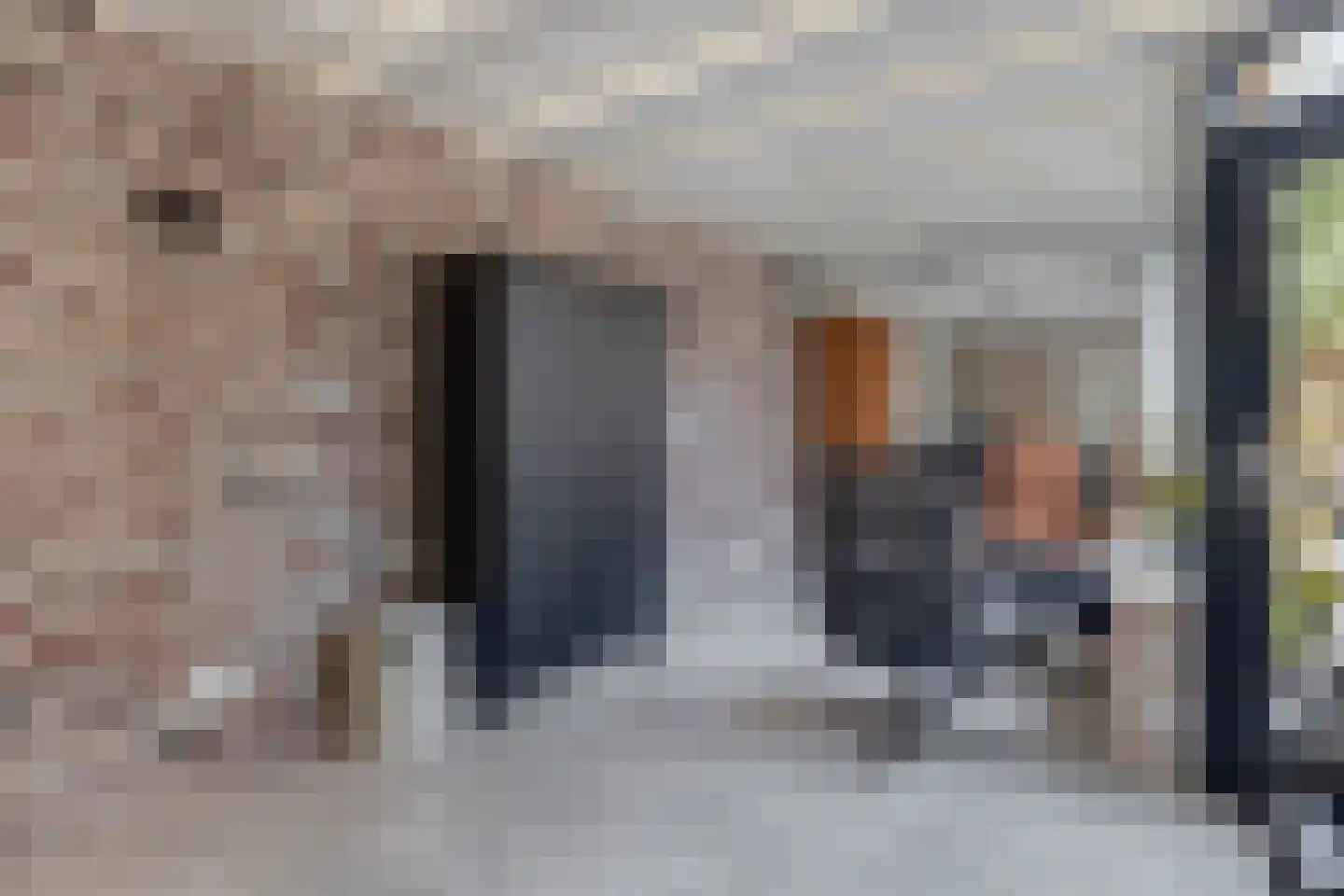Lijsterbesstraat 10 Veghel thumbnail 8