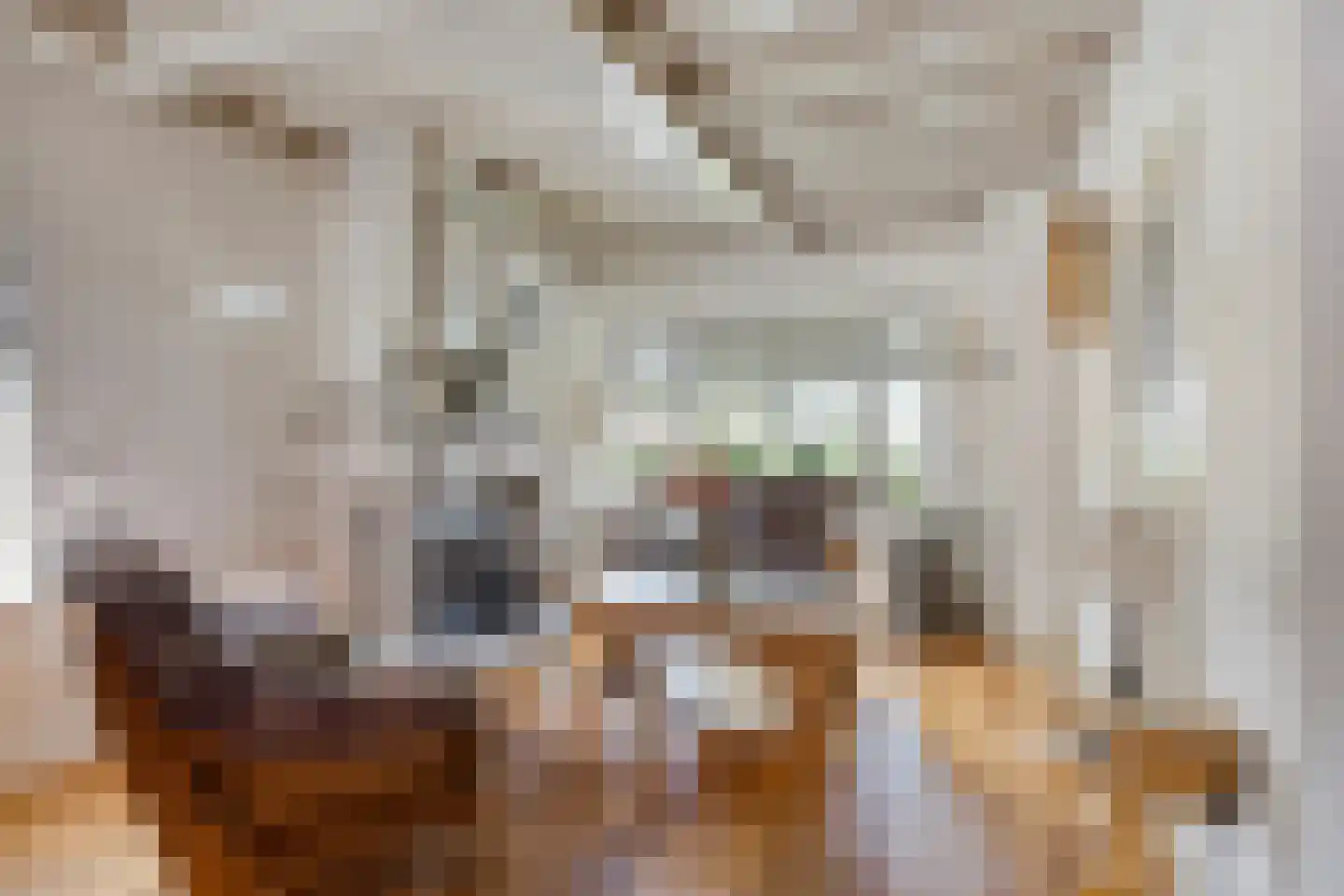 Lijsterbesstraat 11 Opheusden thumbnail 11