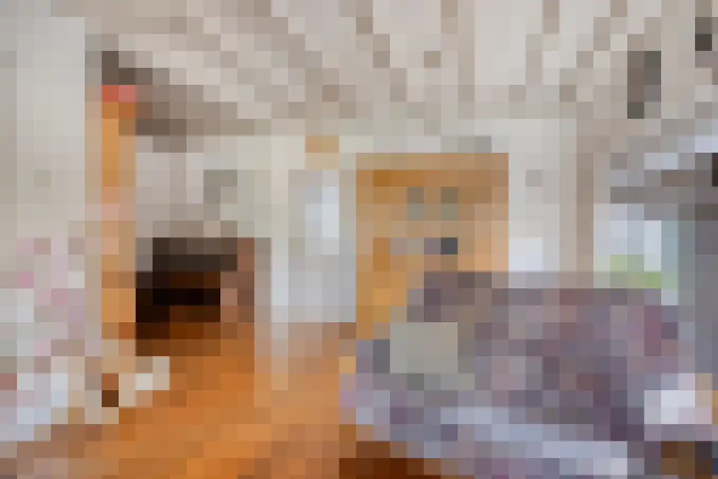 Lijsterbesstraat 11 Opheusden thumbnail 12