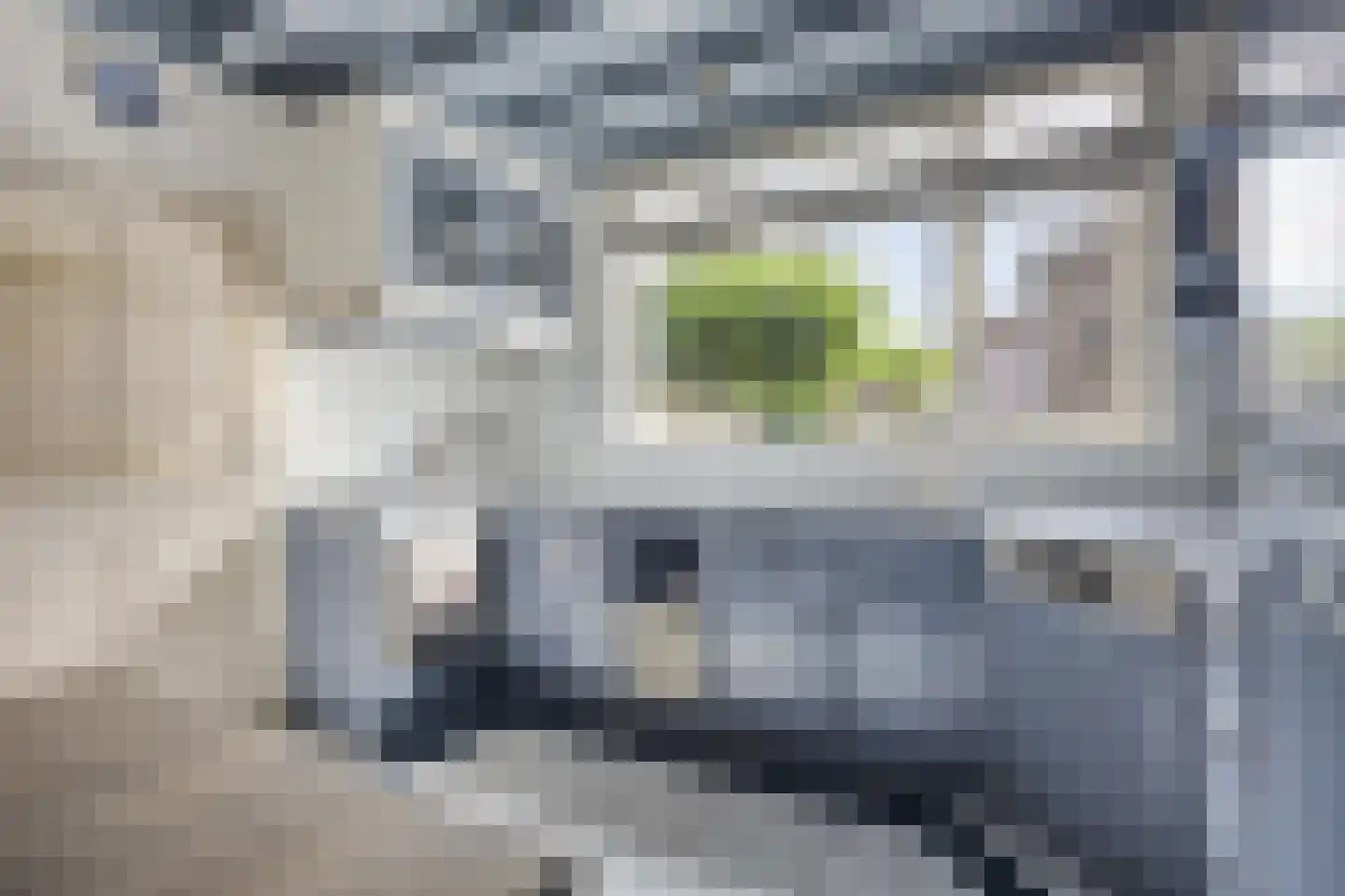 Lijsterbesstraat 11 Opheusden thumbnail 15