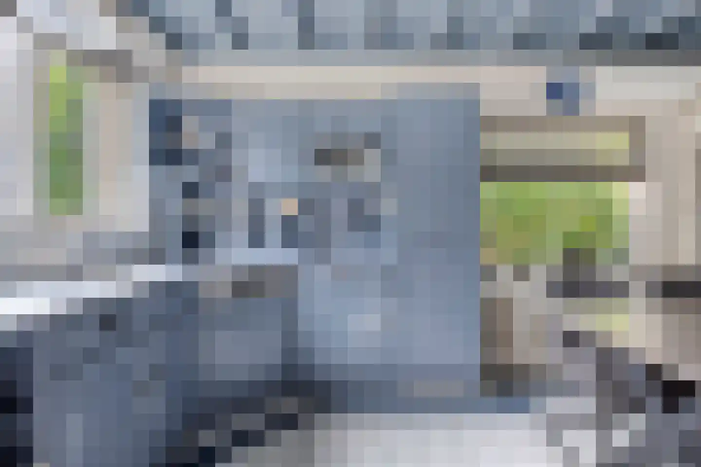 Lijsterbesstraat 11 Opheusden thumbnail 16