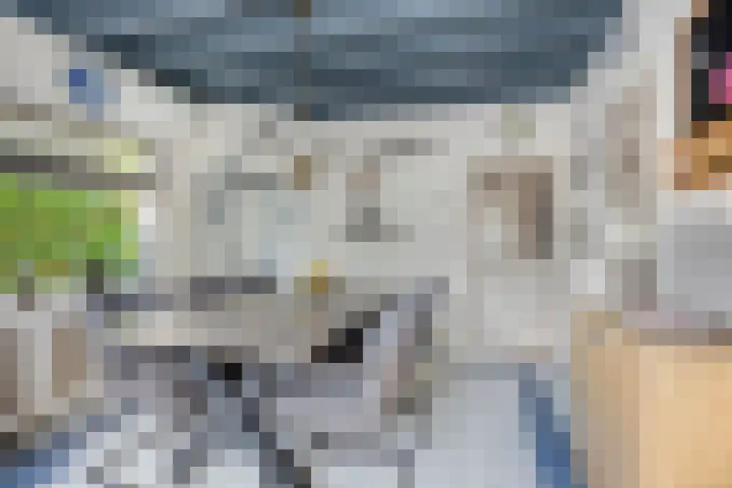 Lijsterbesstraat 11 Opheusden thumbnail 17