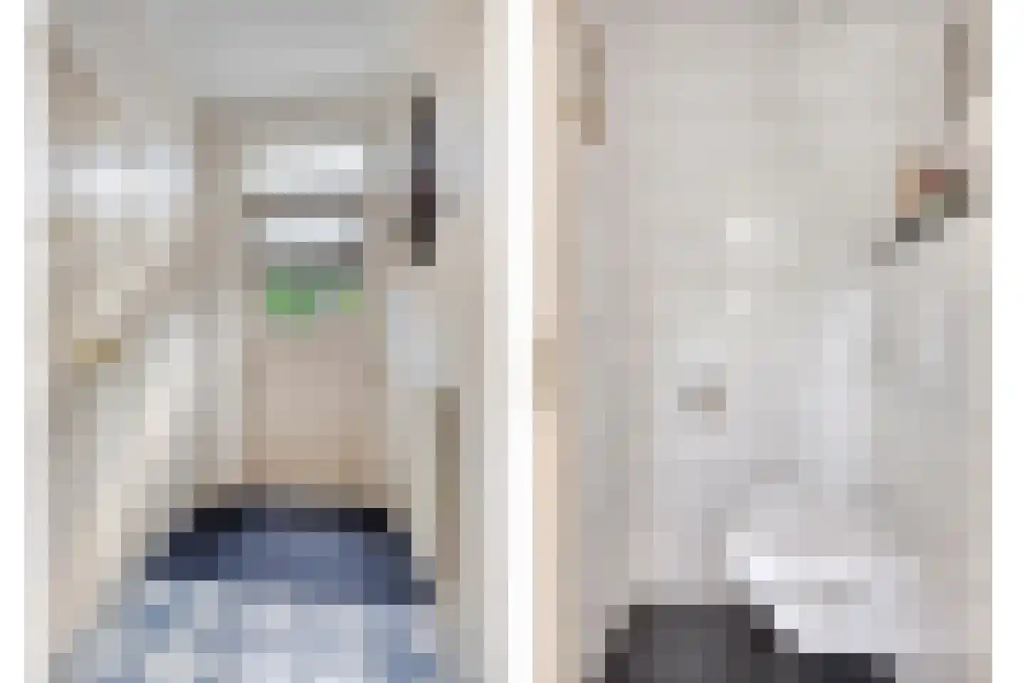 Lijsterbesstraat 11 Opheusden thumbnail 18