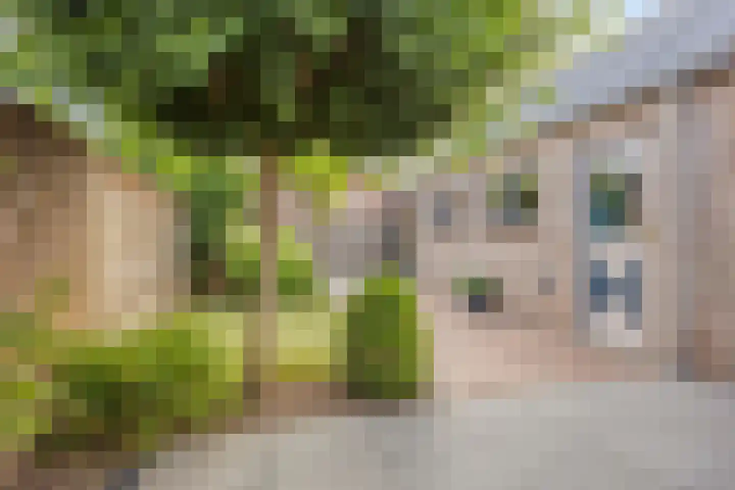 Lijsterbesstraat 11 Opheusden thumbnail 31