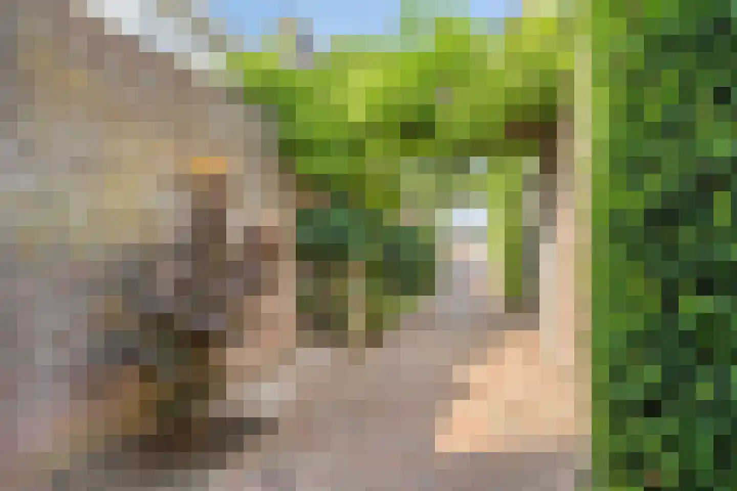 Lijsterbesstraat 11 Opheusden thumbnail 36