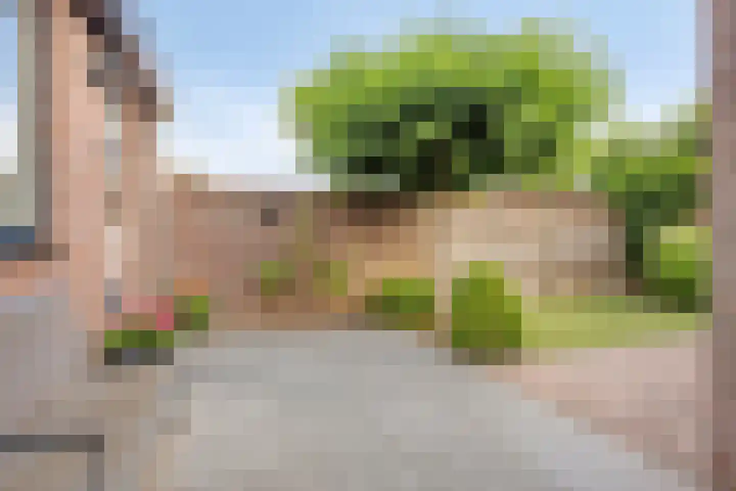 Lijsterbesstraat 11 Opheusden thumbnail 37
