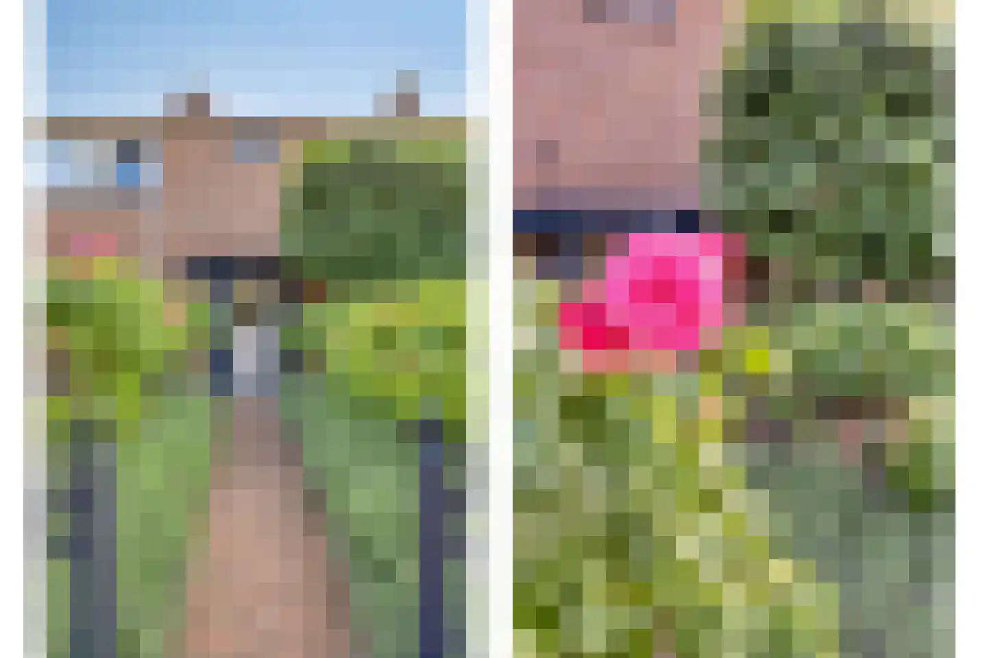 Lijsterbesstraat 11 Opheusden thumbnail 43