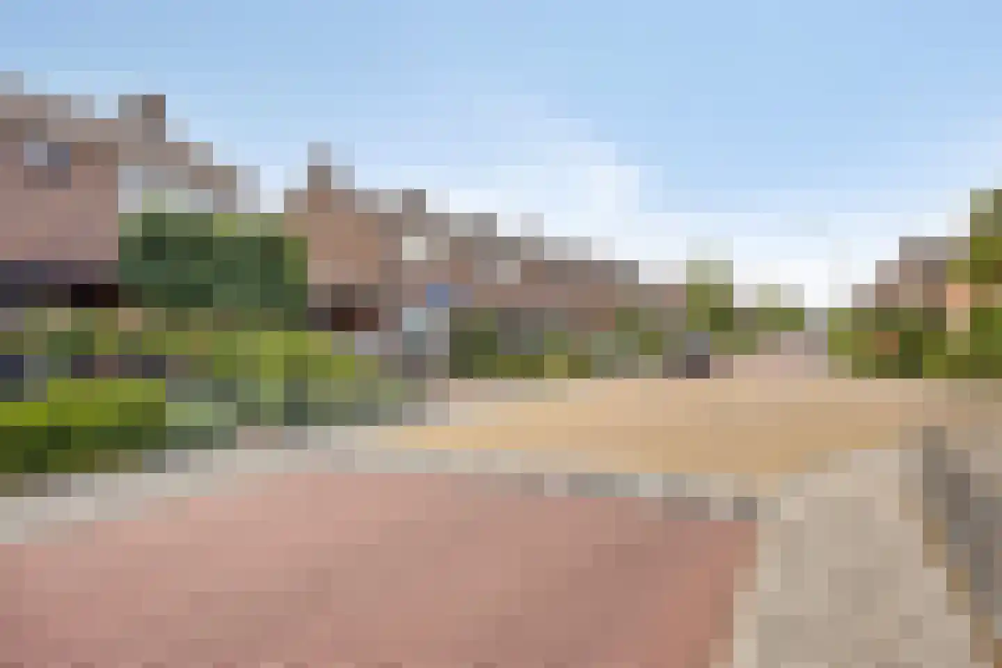 Lijsterbesstraat 11 Opheusden thumbnail 46