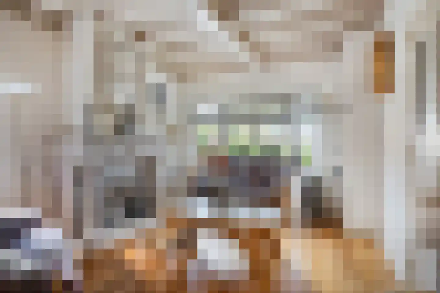 Lijsterbesstraat 11 Opheusden thumbnail 7