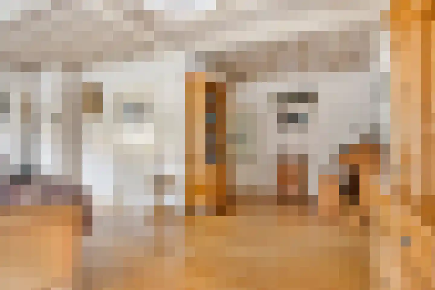 Lijsterbesstraat 11 Opheusden thumbnail 8