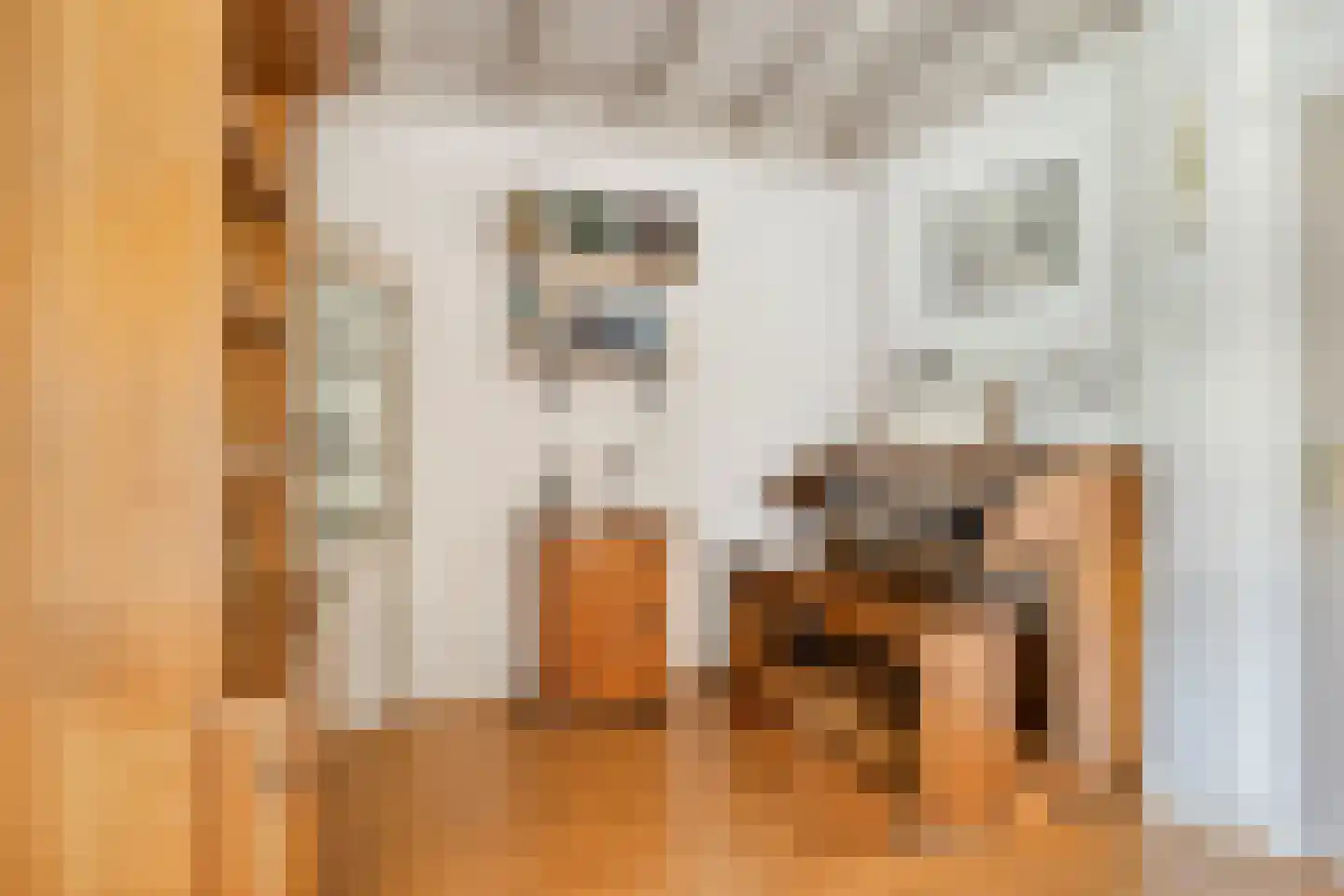 Lijsterbesstraat 11 Opheusden thumbnail 9