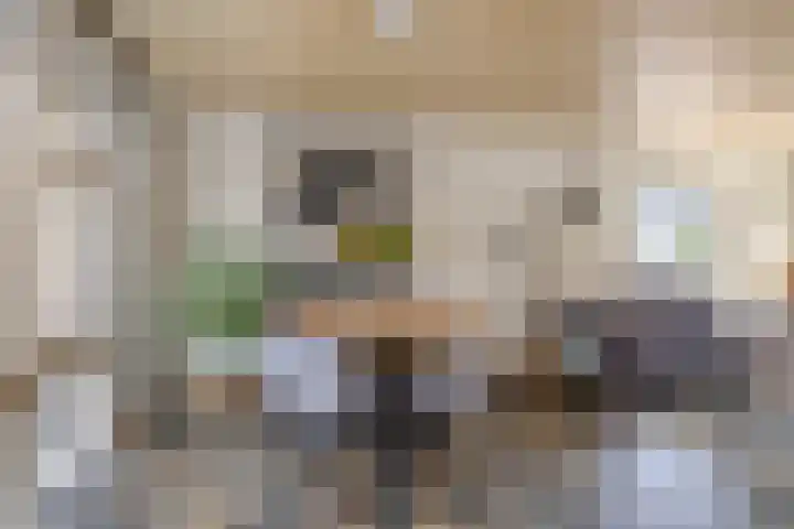 Lijsterbesstraat 11 Raalte thumbnail 10