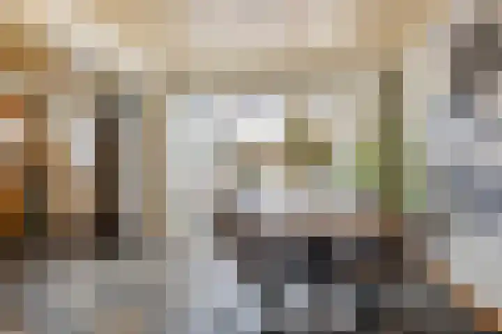 Lijsterbesstraat 11 Raalte thumbnail 11