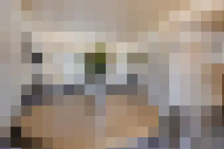 Lijsterbesstraat 11 Raalte thumbnail 12