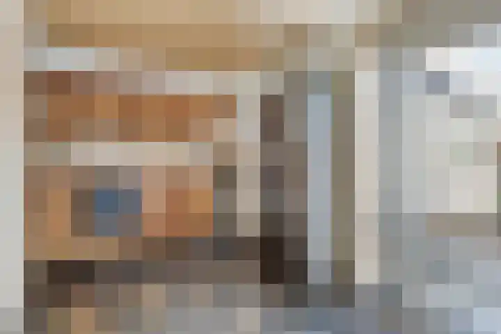 Lijsterbesstraat 11 Raalte thumbnail 13