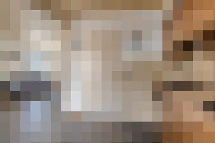 Lijsterbesstraat 11 Raalte thumbnail 15