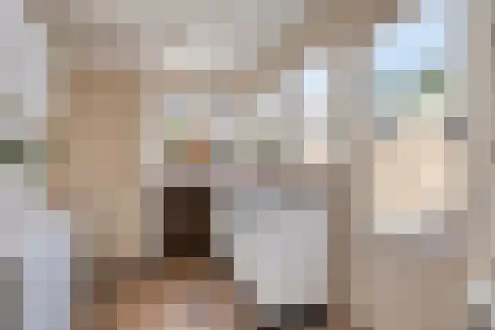 Lijsterbesstraat 11 Raalte thumbnail 18