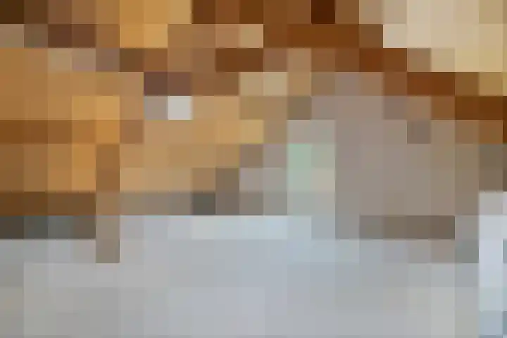 Lijsterbesstraat 11 Raalte thumbnail 27