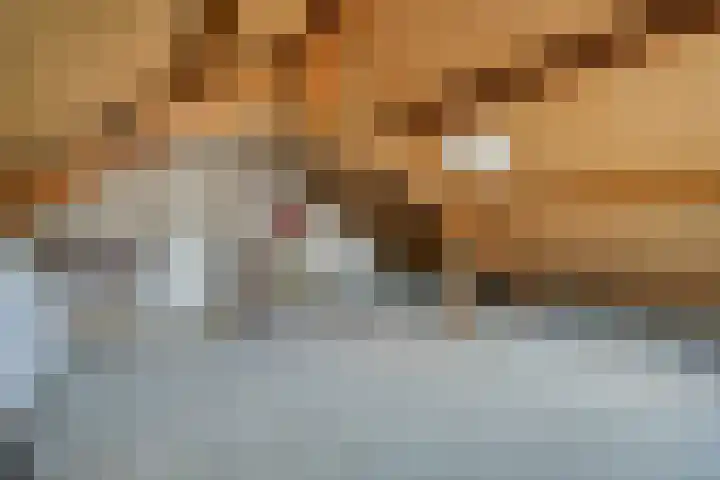 Lijsterbesstraat 11 Raalte thumbnail 28