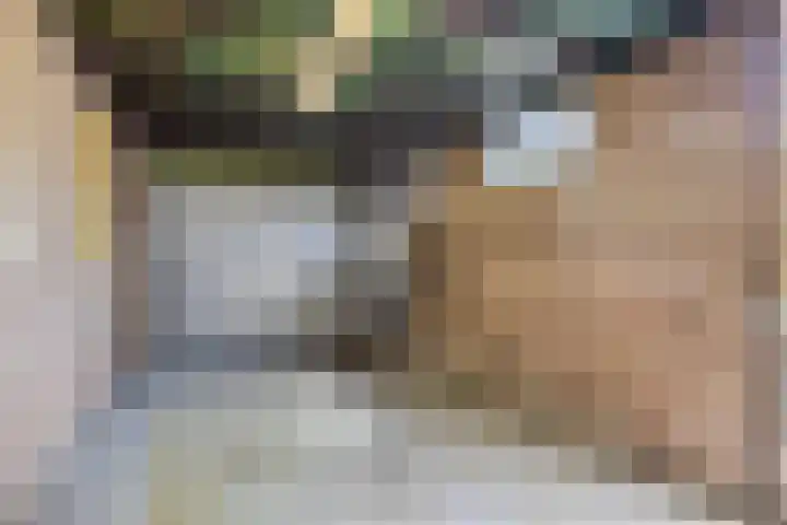 Lijsterbesstraat 11 Raalte thumbnail 30