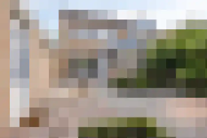 Lijsterbesstraat 11 Raalte thumbnail 32