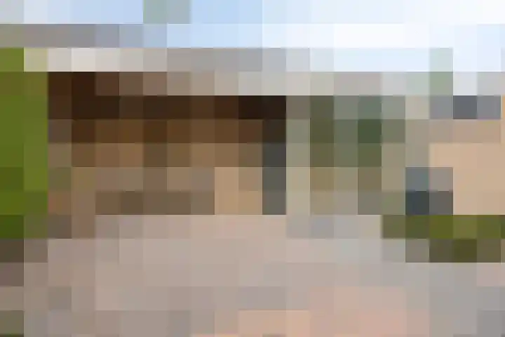Lijsterbesstraat 11 Raalte thumbnail 34