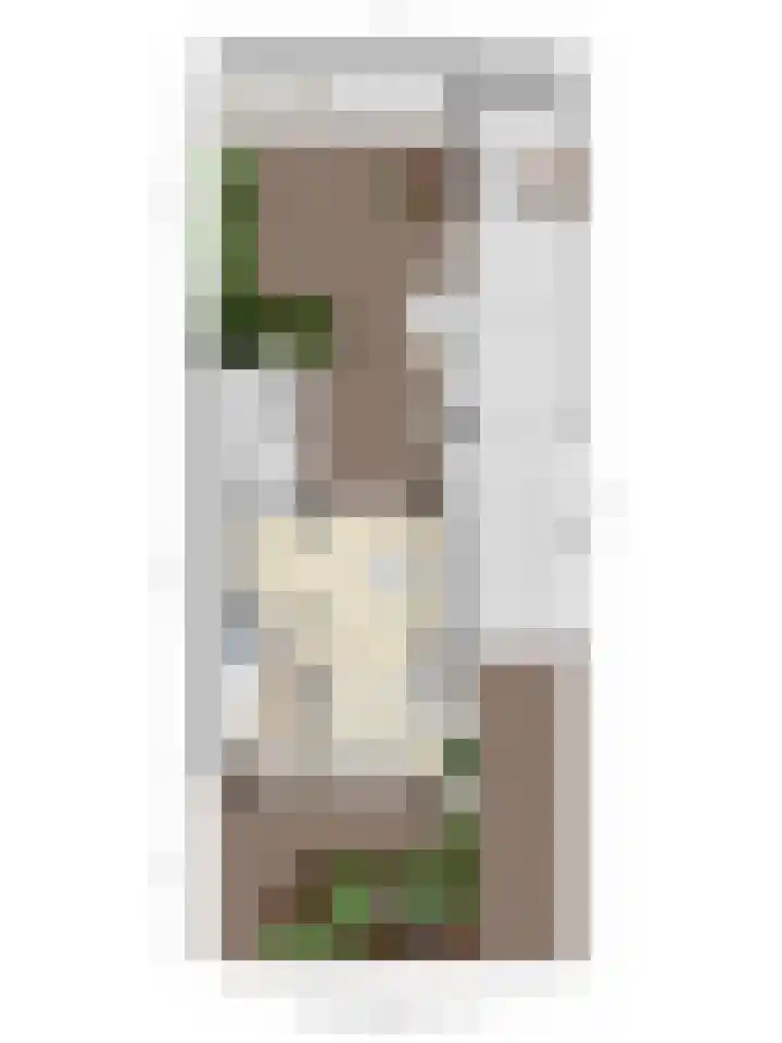 Lijsterbesstraat 11 Raalte thumbnail 37