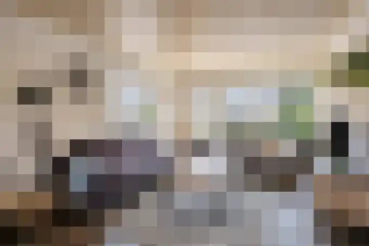 Lijsterbesstraat 11 Raalte thumbnail 5