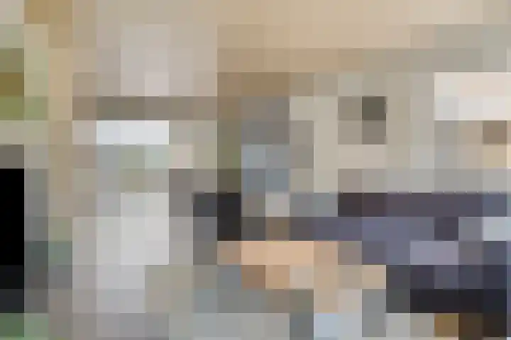Lijsterbesstraat 11 Raalte thumbnail 8