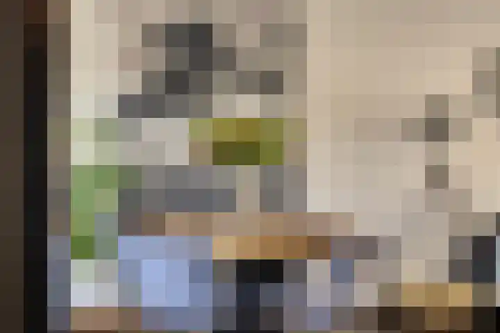 Lijsterbesstraat 11 Raalte thumbnail 9