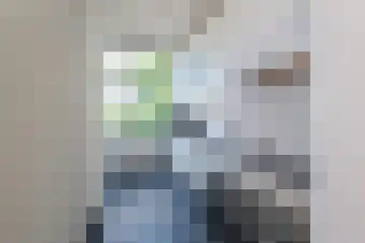 Lijsterbesstraat 111 Den Haag thumbnail 12