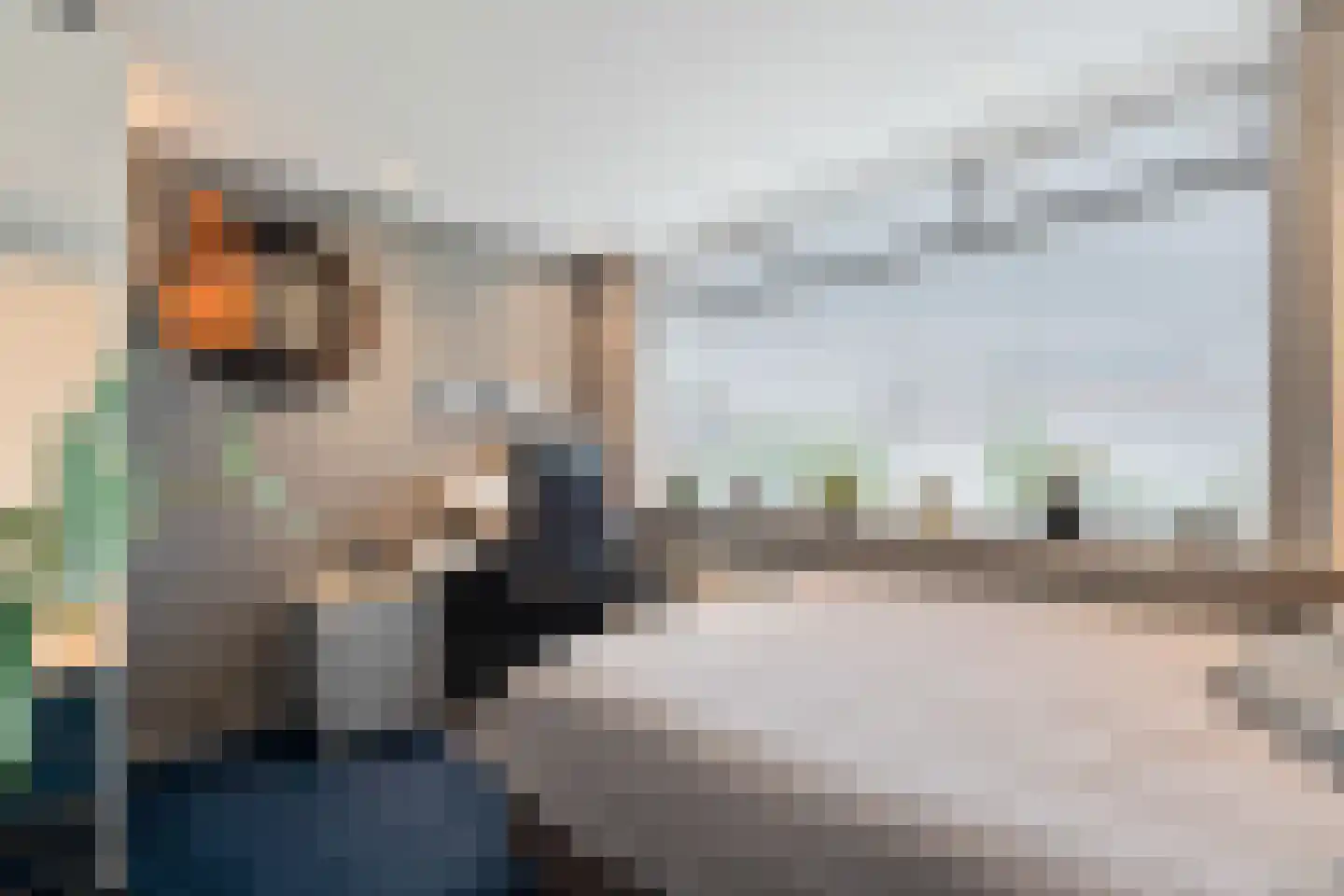 Lijsterbesstraat 12 De Zilk thumbnail 15