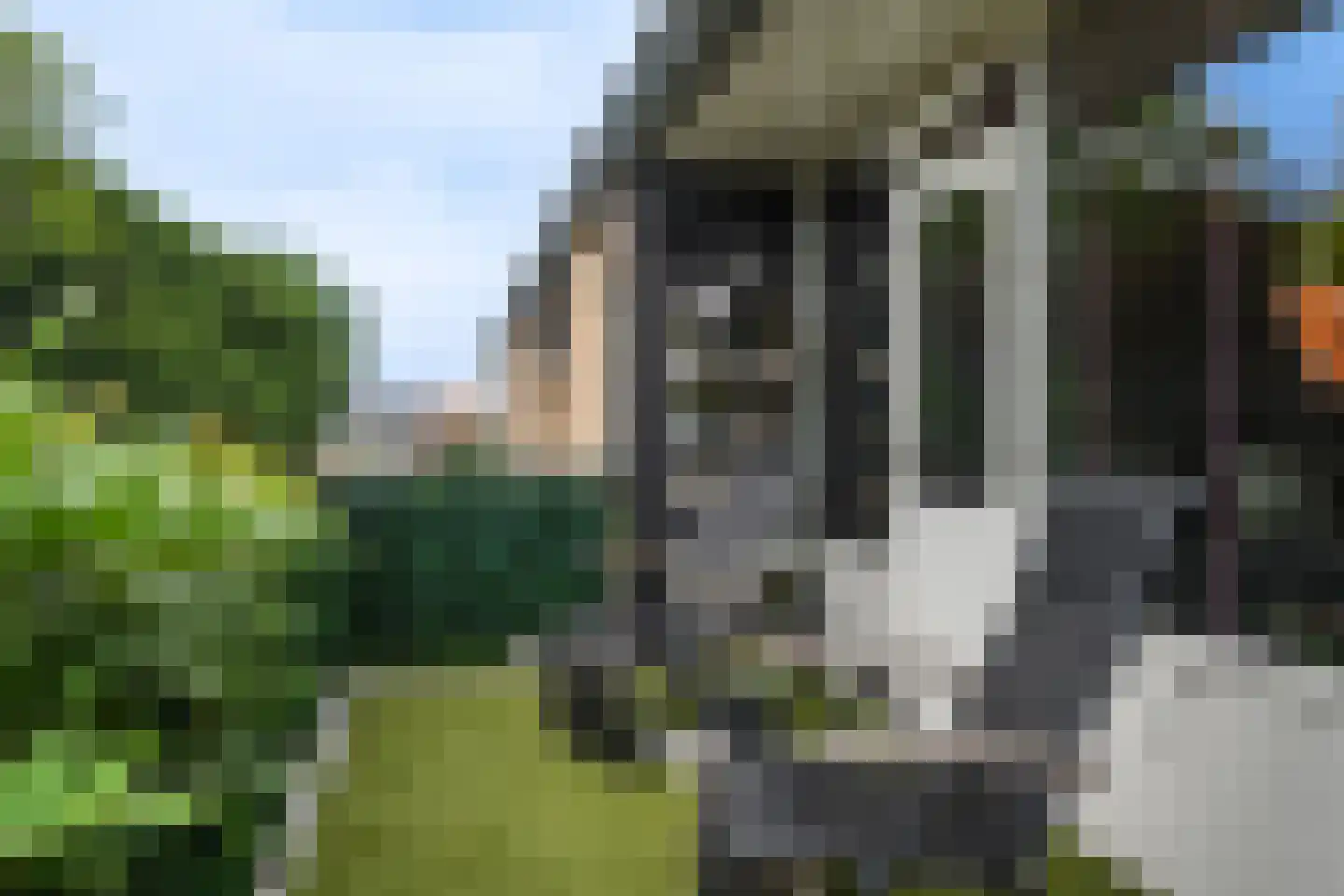 Lijsterbesstraat 12 De Zilk thumbnail 18