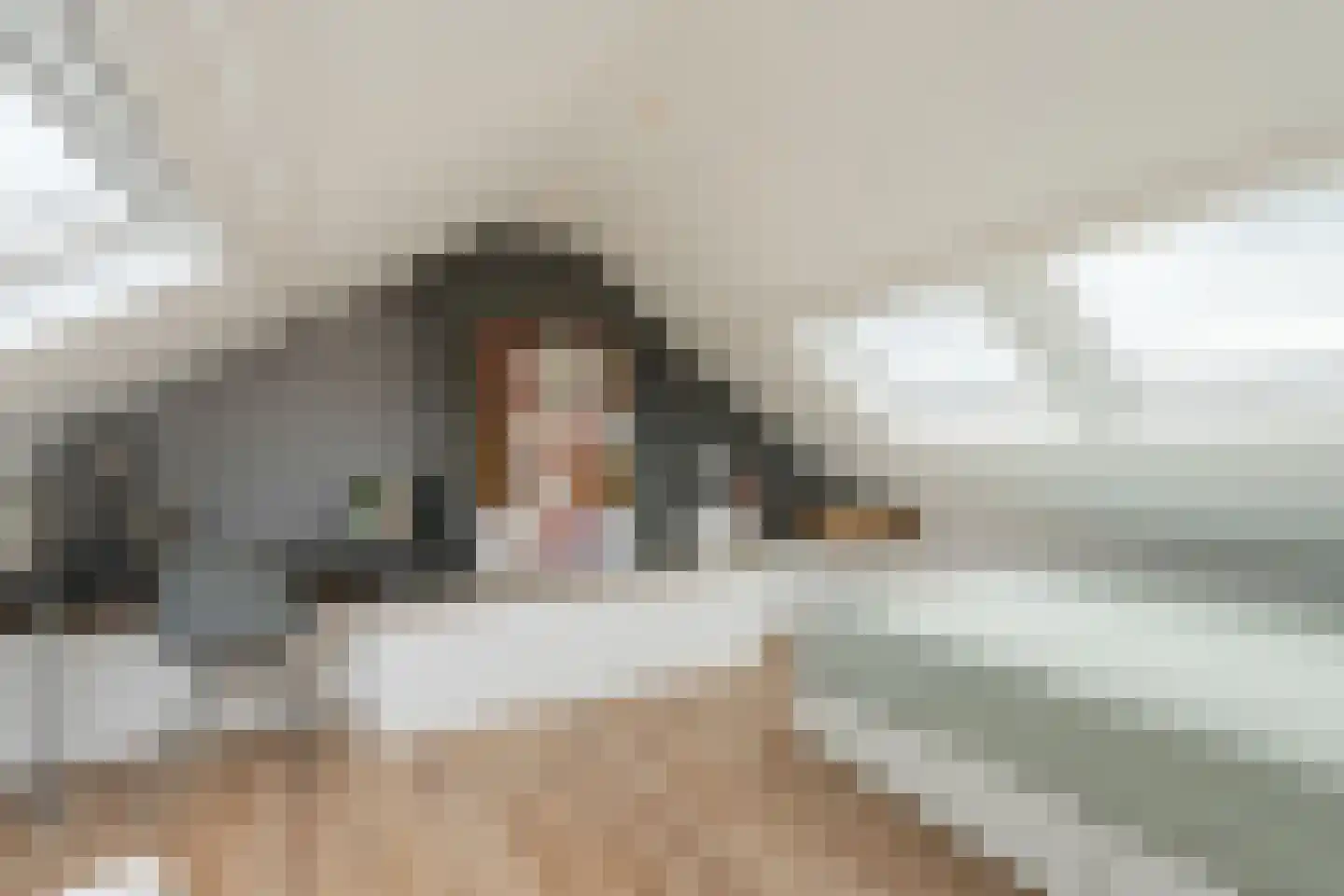 Lijsterbesstraat 12 De Zilk thumbnail 20