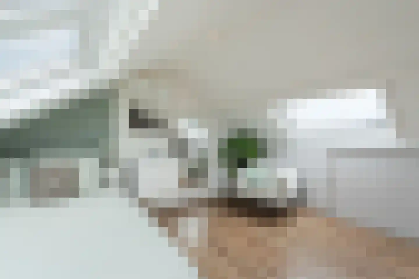 Lijsterbesstraat 12 De Zilk thumbnail 21