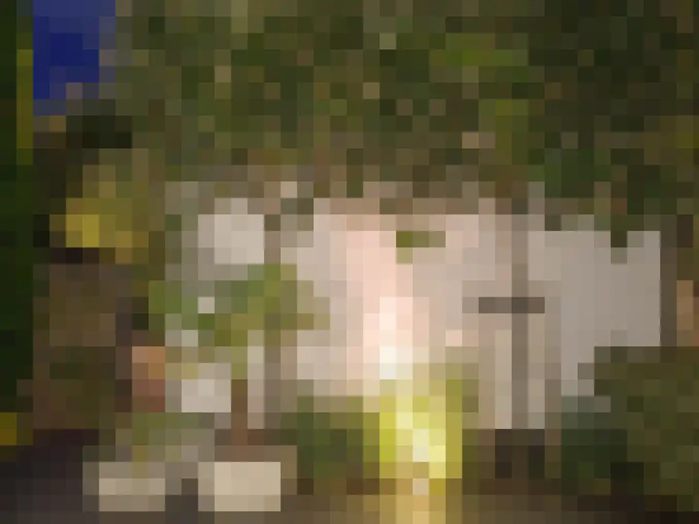 Lijsterbesstraat 12 De Zilk thumbnail 25