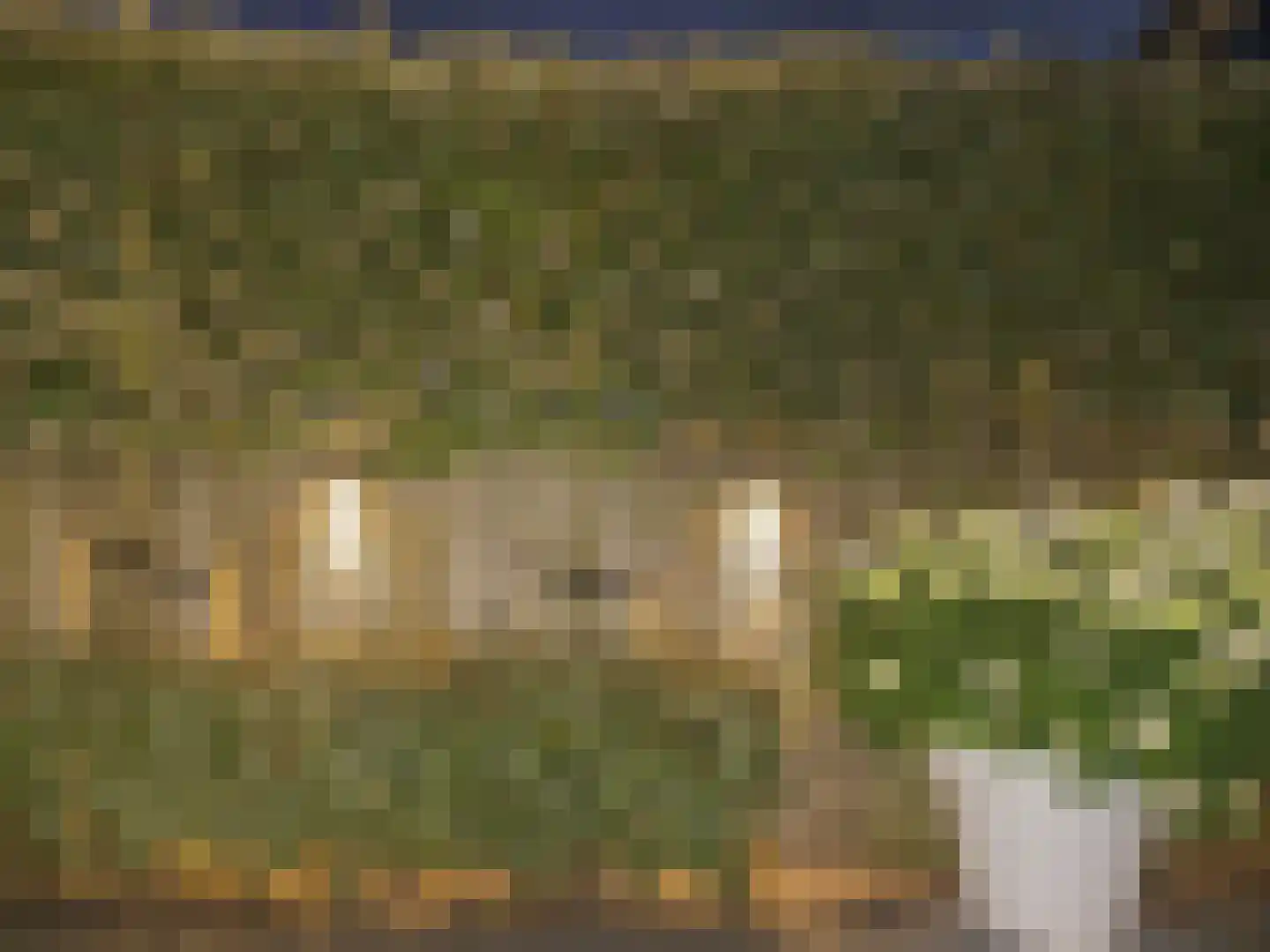 Lijsterbesstraat 12 De Zilk thumbnail 26