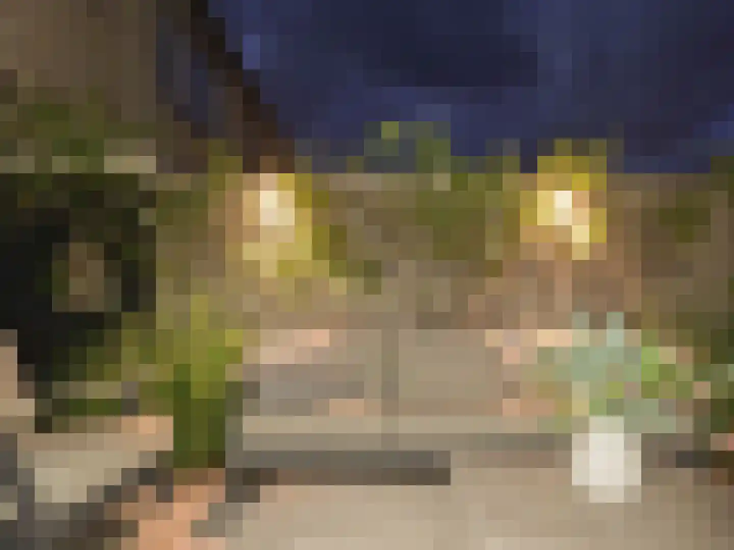 Lijsterbesstraat 12 De Zilk thumbnail 27