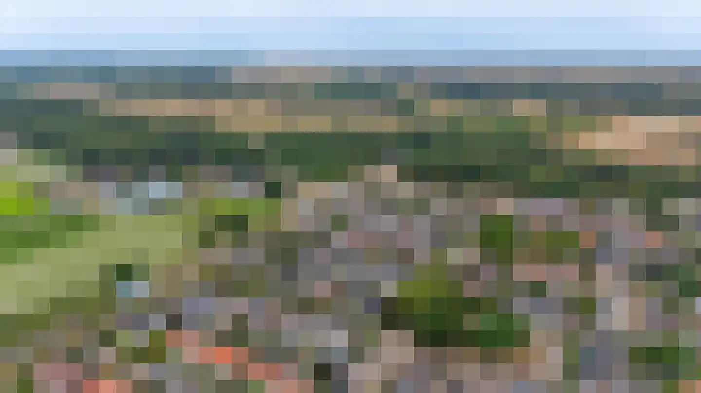 Lijsterbesstraat 12 De Zilk thumbnail 30