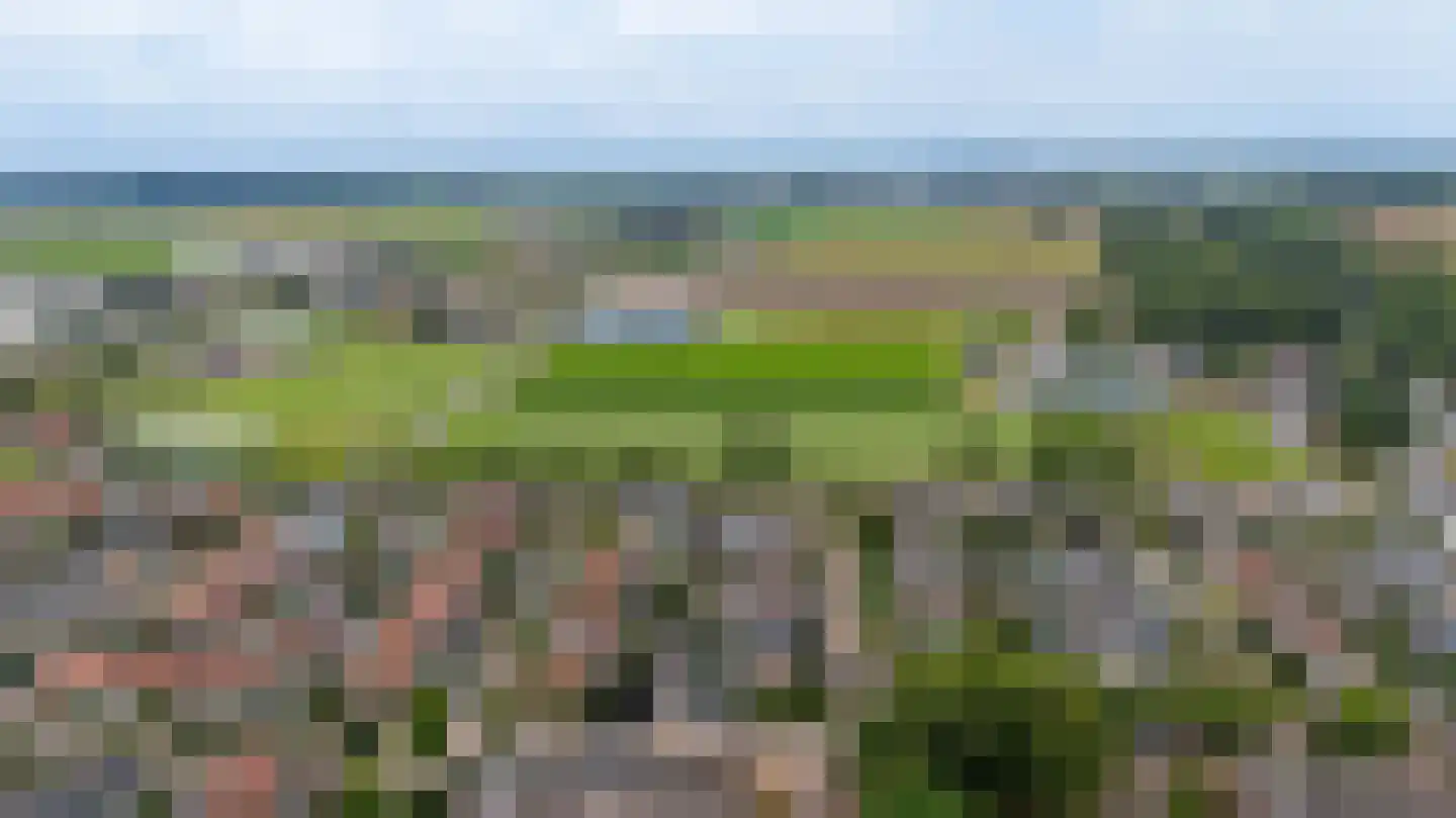 Lijsterbesstraat 12 De Zilk thumbnail 31