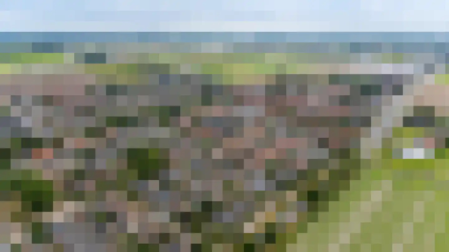 Lijsterbesstraat 12 De Zilk thumbnail 32